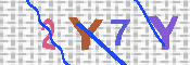 キャプチャ画像