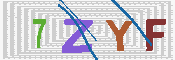 キャプチャ画像