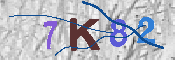 キャプチャ画像