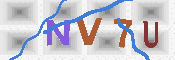 キャプチャ画像