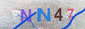 キャプチャ画像