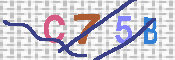 キャプチャ画像
