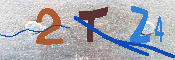 キャプチャ画像