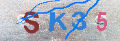 キャプチャ画像