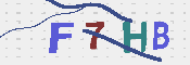 キャプチャ画像