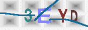 キャプチャ画像