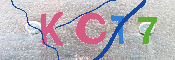 キャプチャ画像