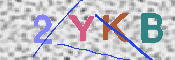 キャプチャ画像
