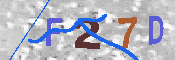 キャプチャ画像