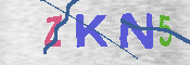 キャプチャ画像