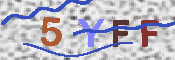 キャプチャ画像