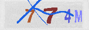 キャプチャ画像