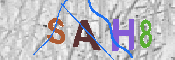 キャプチャ画像