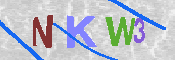 キャプチャ画像