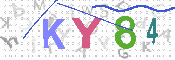 キャプチャ画像