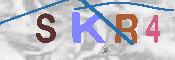 キャプチャ画像