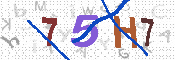 キャプチャ画像