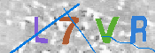 キャプチャ画像
