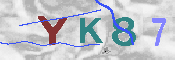 キャプチャ画像