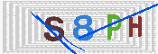 キャプチャ画像