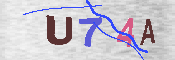 キャプチャ画像