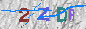 キャプチャ画像