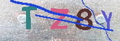 キャプチャ画像
