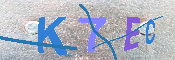 キャプチャ画像