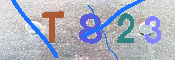 キャプチャ画像