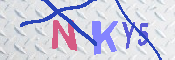 キャプチャ画像