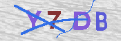 キャプチャ画像