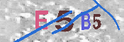 キャプチャ画像