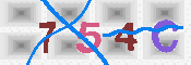 キャプチャ画像