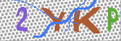 キャプチャ画像