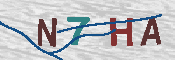 キャプチャ画像