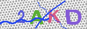 キャプチャ画像