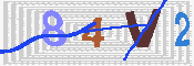 キャプチャ画像