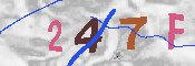 キャプチャ画像