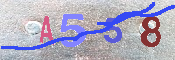 キャプチャ画像
