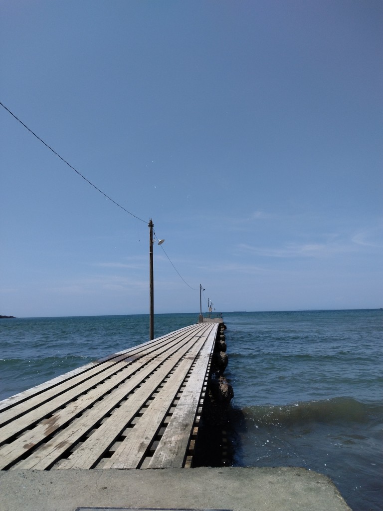 .trashed-1758252731-DSC_2369~5