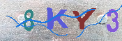 キャプチャ画像