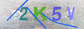 キャプチャ画像