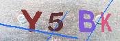 キャプチャ画像