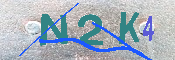 キャプチャ画像