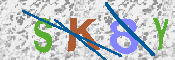 キャプチャ画像