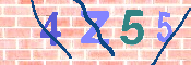 キャプチャ画像