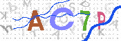 キャプチャ画像