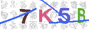 キャプチャ画像