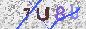 キャプチャ画像