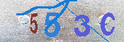 キャプチャ画像